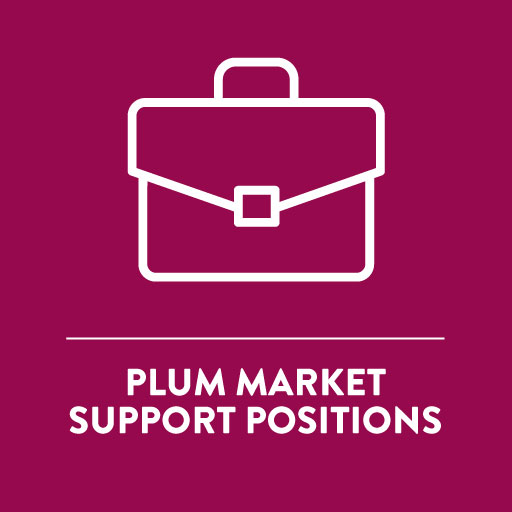 store positions in support office