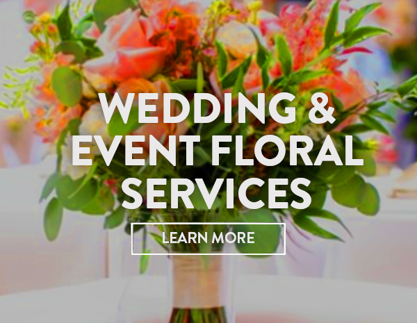 Plum Market Foodservice
