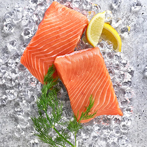 Salmon